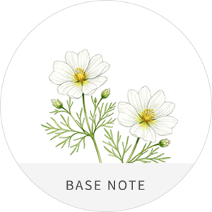 BASE NOTE : 머스크 이미지